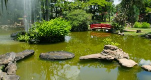 Jardim Japonês em Caldas Novas 