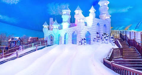 Imagem representativa: Parque Temático Snowland‎